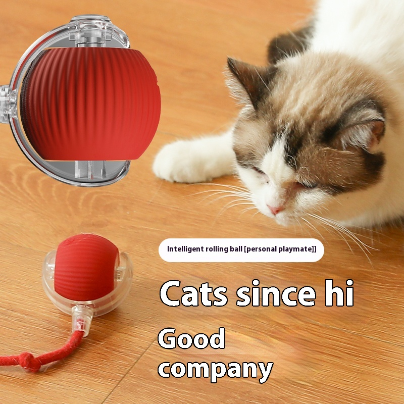 USB charging pet toy imitating a mouse tail; - automatic rolling ball, suitable for cats and dogs