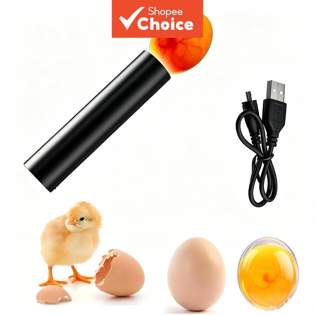 Lanterna Recarregável USB Para Ovos De Papagaio De Pato E Frango