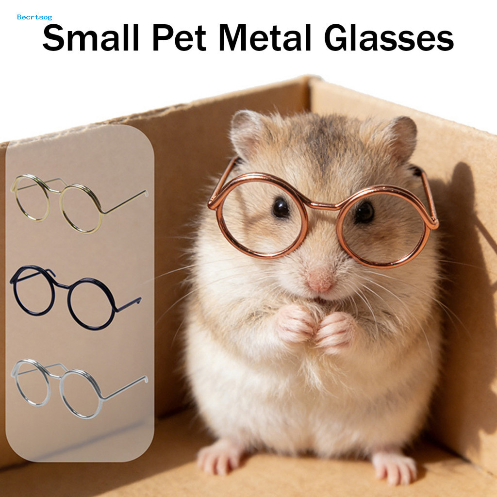 Retro Pet Glasses Hamster 5 Pcs Mini Metal Round Frame for Hamsters Guinea Pigs Rabbits – Cute Small Animal Photo Prop