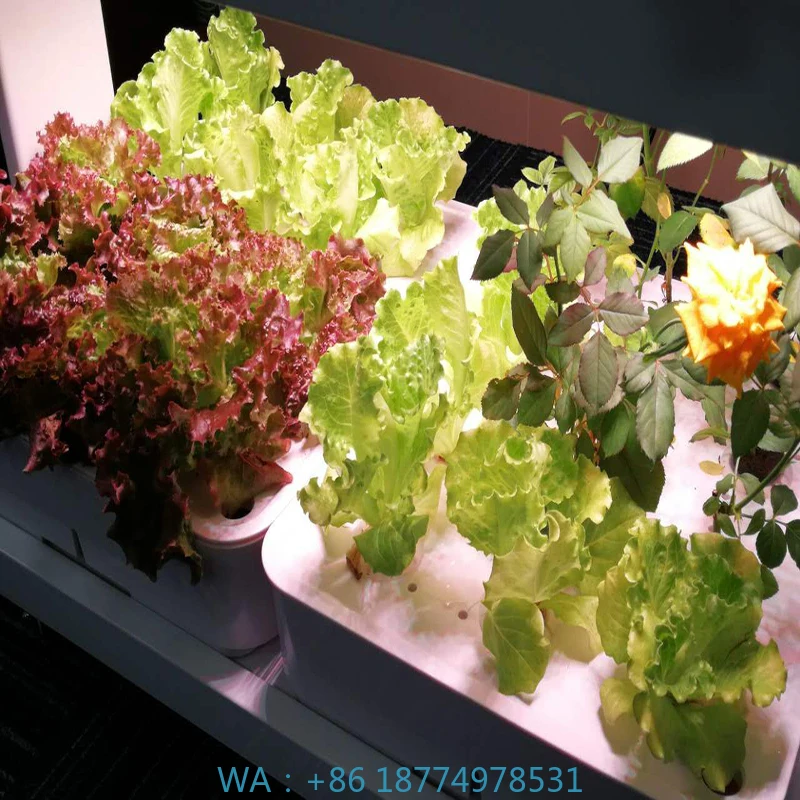 72 Holes 6 Planting Boxes LED Grow Lights Instead of SunlightIndoor Hydroponic Planting System with LED Plant Growth Lights