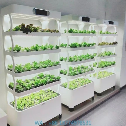 Hydroponic Automated Grow SystemIntelligent Hydroponic Growing System Led Grow Lights Vertical