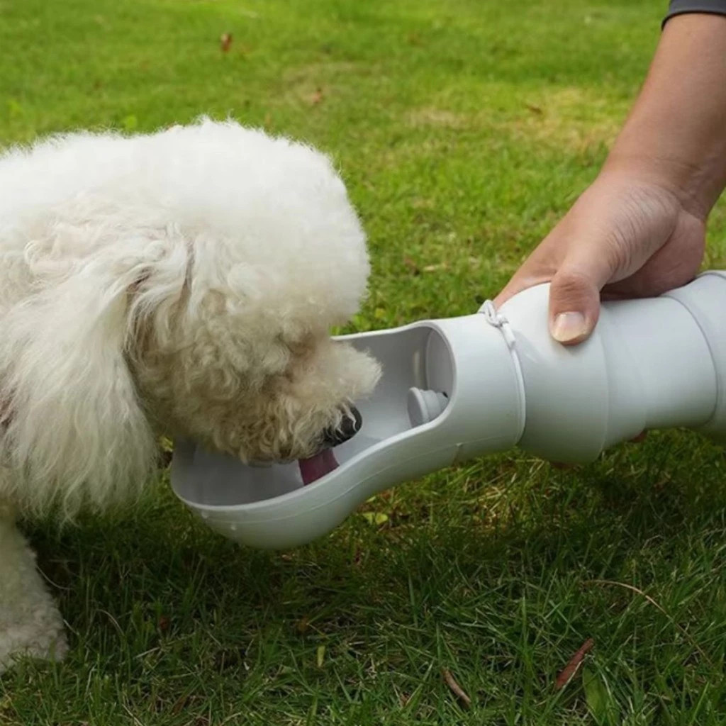 Bebedouro Portátil Pets Silicone V Caminhada uso diário Recipiente Água gelada Cachorros