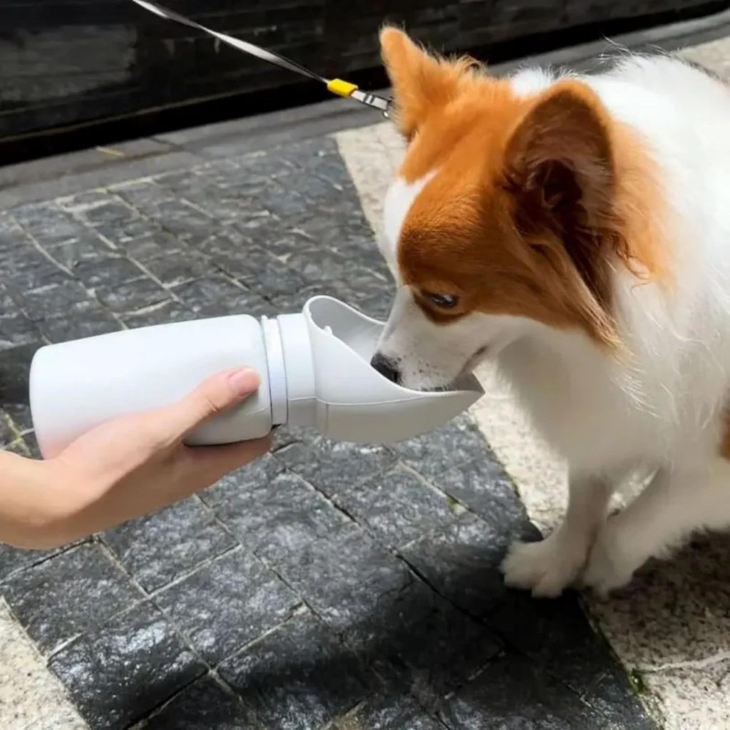 Bebedouro Pet Portátil 300ml Animais Hidratação Silicone Branco Design Ergonômico