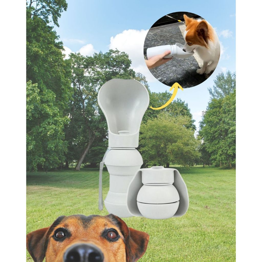 Bebedouro Portátil Para Cães Recipiente Levar Água Para Pets De Silicone