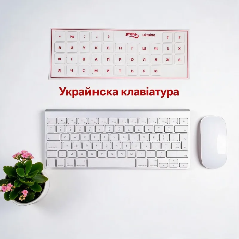 prod_6a9b2c895fd025.10924460.webp