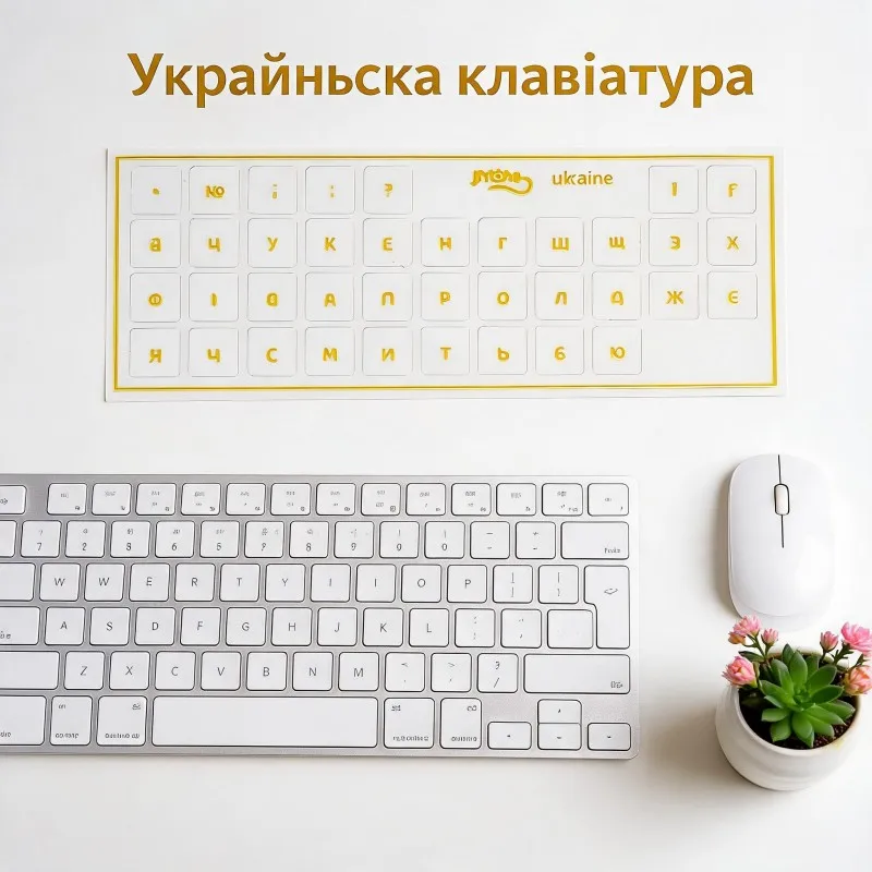 prod_6a9b2c897bf558.34269066.webp