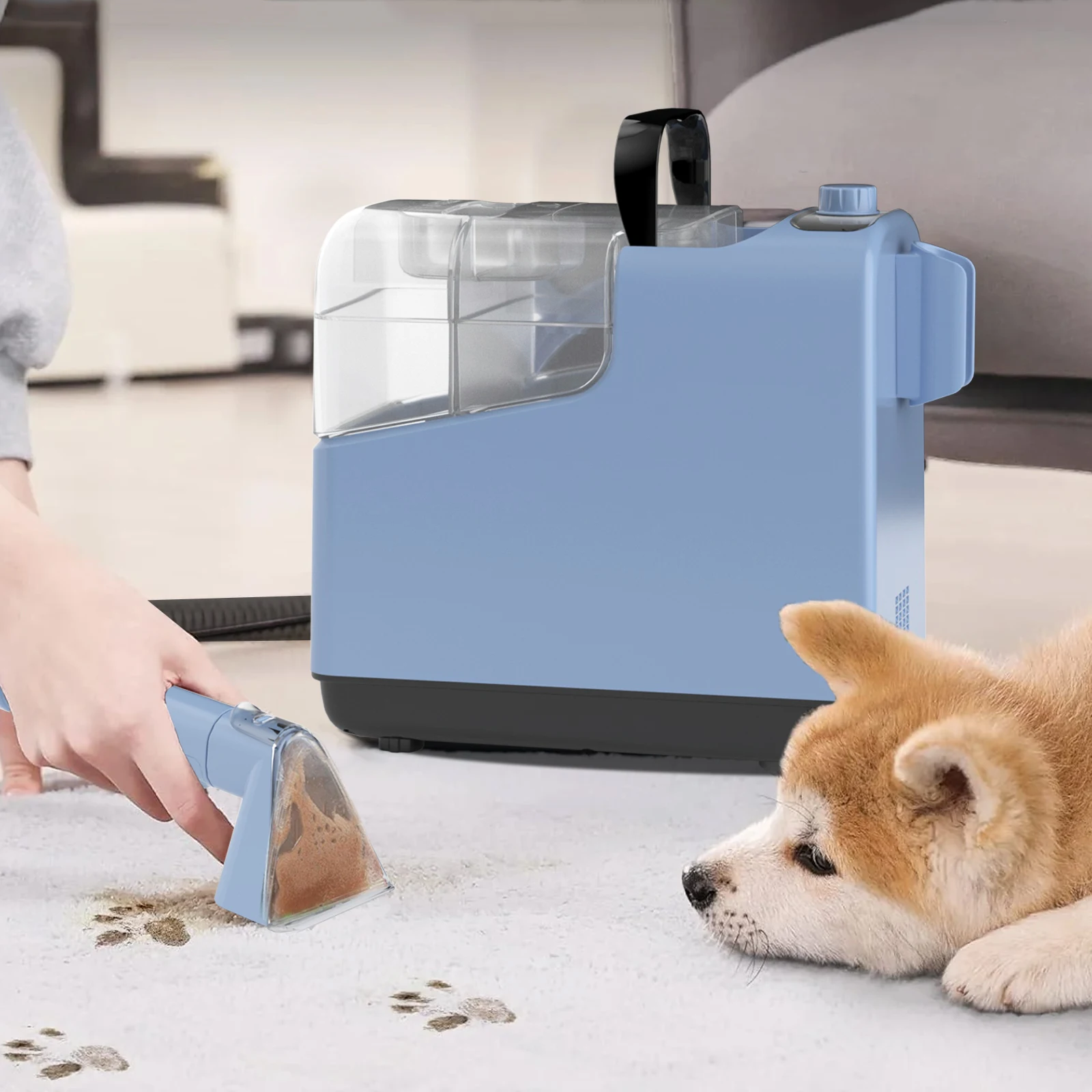 Liquid Water Heater Detergent Push Nozzle Home Use Pet 110v 20l Professional 3 in 1 s Vacuum Cleaner for Home Carpet Washing