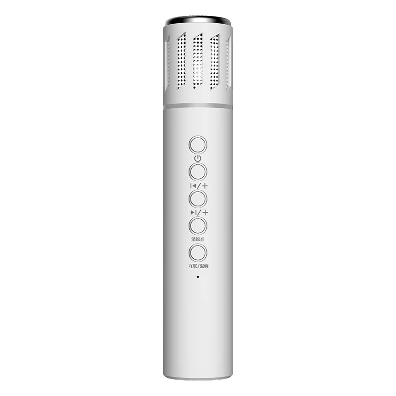 Wireless Bluetooth Microphone Mobile Phone Karaoke Portable Microphone Audio Integrated Home Speaker Sound Card Live Full Set