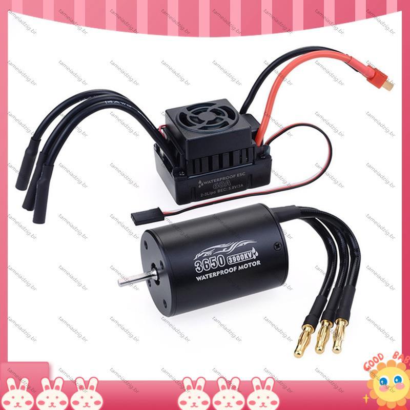 [Fast T] Motor Sem Escova À Prova D'água 3650 60A ESC E Combinação De Cartão De Programa 3900KV Para Caminhão De Carro 1