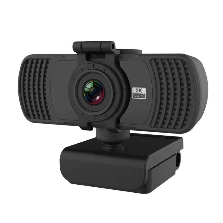 Câmera de PC Richwell Mini PC-06 4 MP HD 360° com Microfone com Redução de Ruído e Autofoco