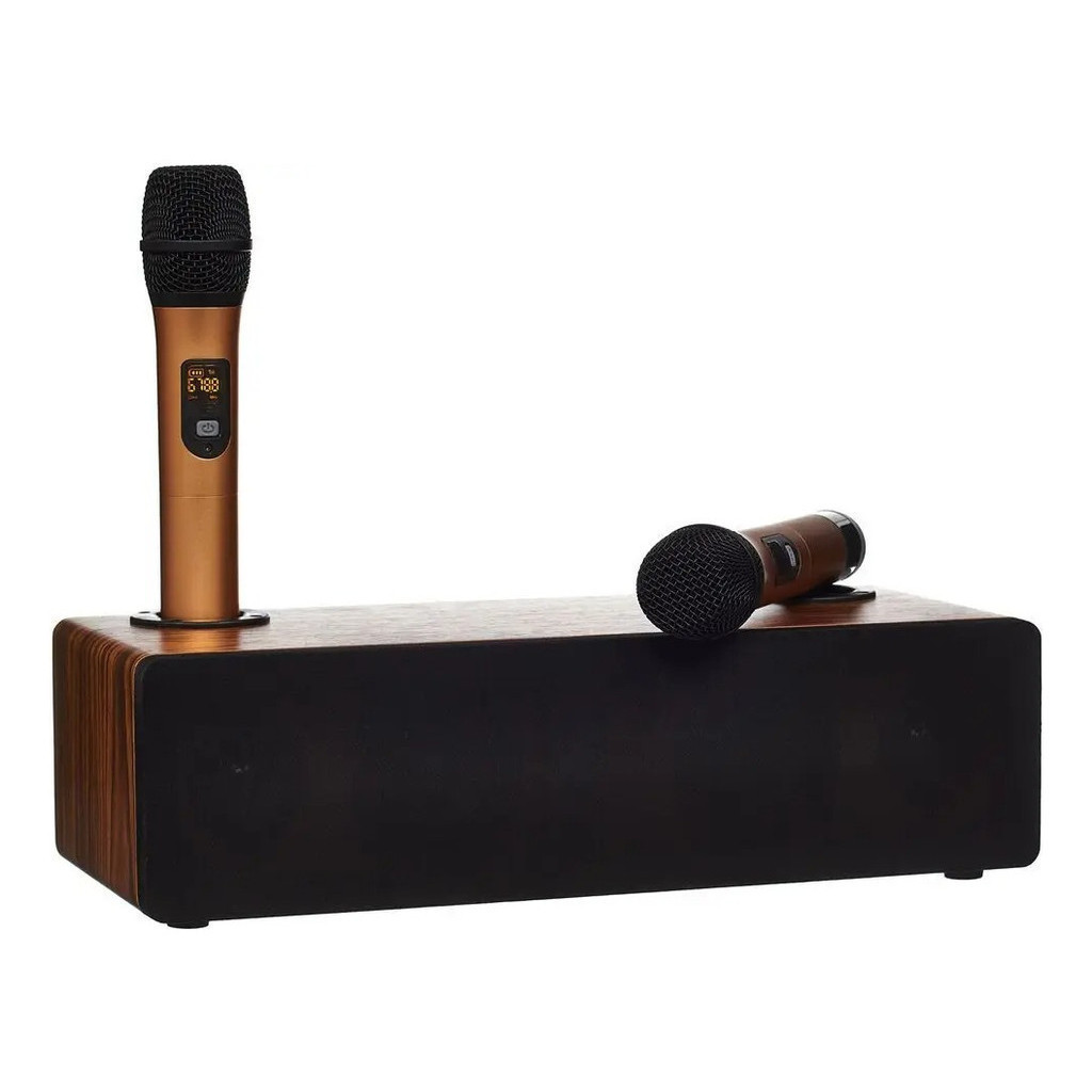 Karaoke Microfones S/fio Home Theater Bluetooth Óptico alta potência 120w