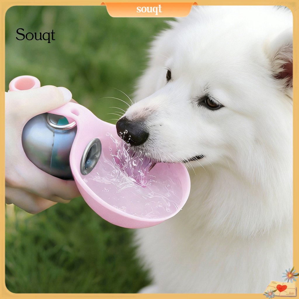 Portable Leak-proof Dog Water Bottle with Foldable Silicone Bowl – Stainless Steel Pet Dispenser for Travel Outdoor Wa