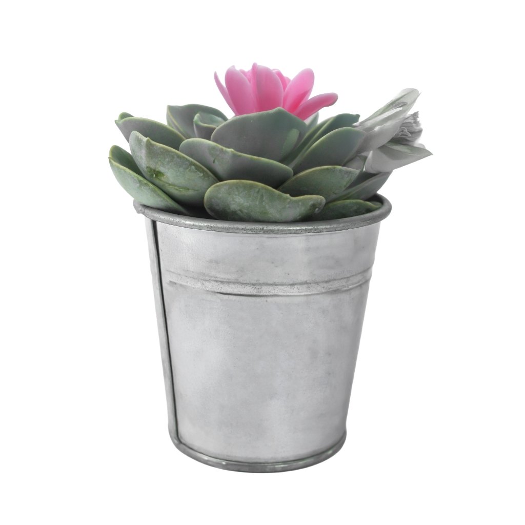 Mini Vaso Metálico Para Suculentas – Decoração Minimalista - (vaso vazio)