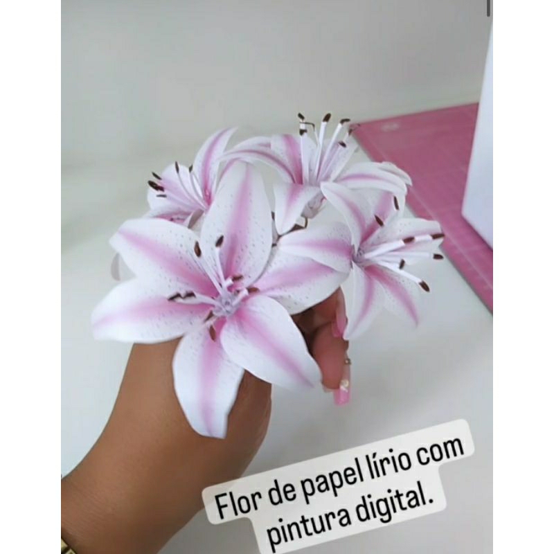 prod_6a9d129928d181.86592012.jpg