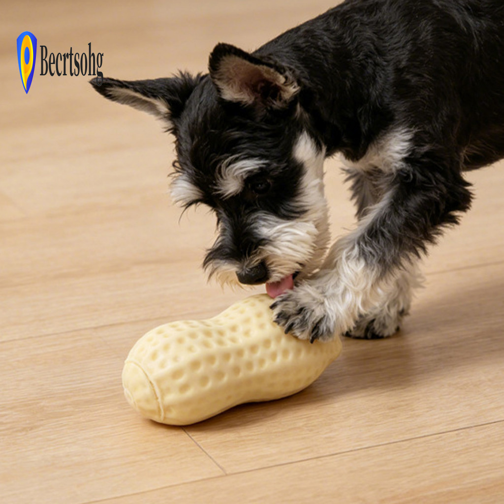 Tpr Rubber Dog Toy Washable Pet Peanut Squeaky – Soft Waterproof Chew with Sound for Puppy Teething Teeth Suitable for