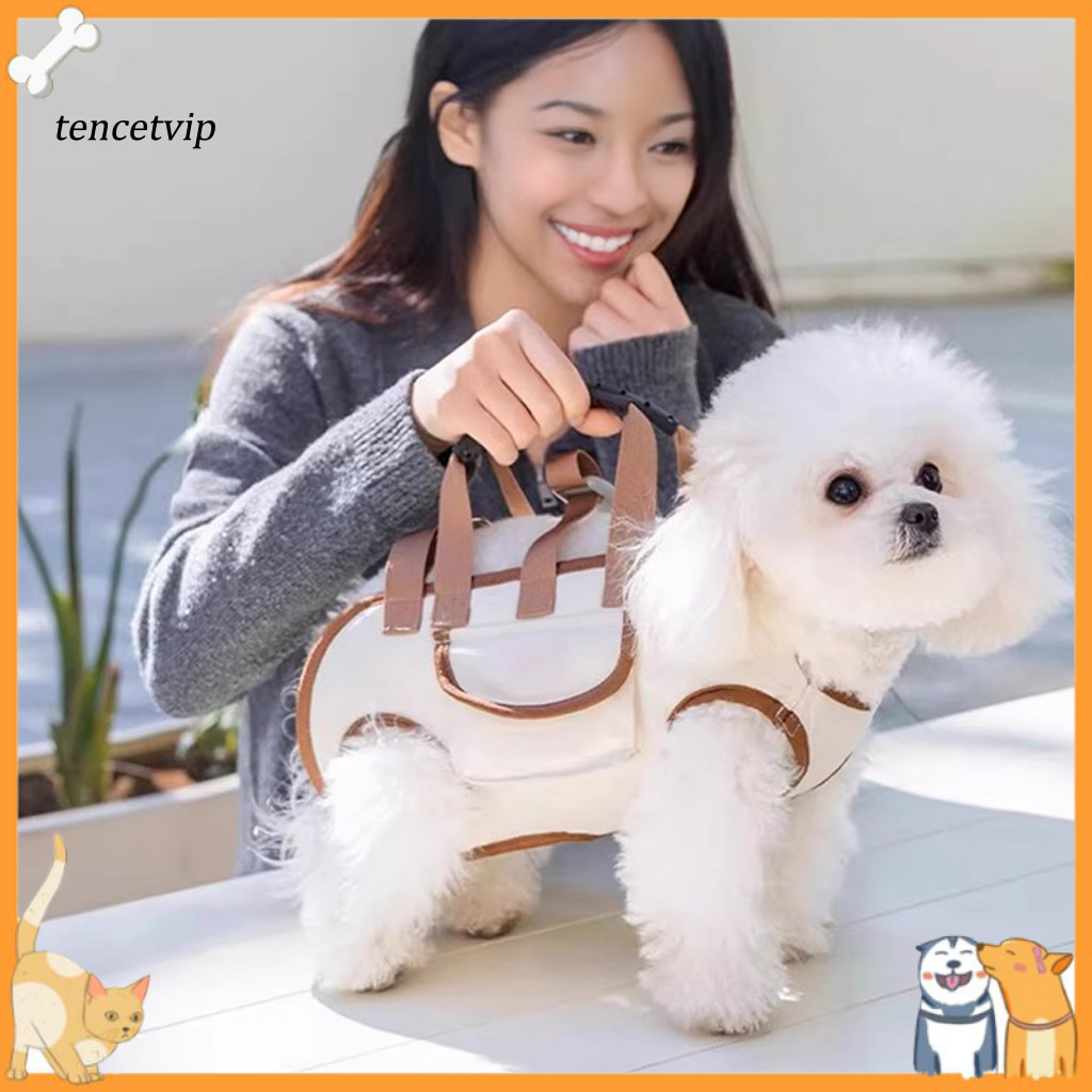 Safe Leash Style Carrier for Dogs Portable Pet for Small Breathable 2-in-1 Tote for Cats Ergonomic Crossbody