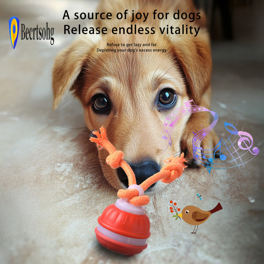 Dog Ball Irregular Rolling Toy Automatic with Motion Sensor Usb Rechargeable Squeaky for Pets – Compact Durable Fun Pe