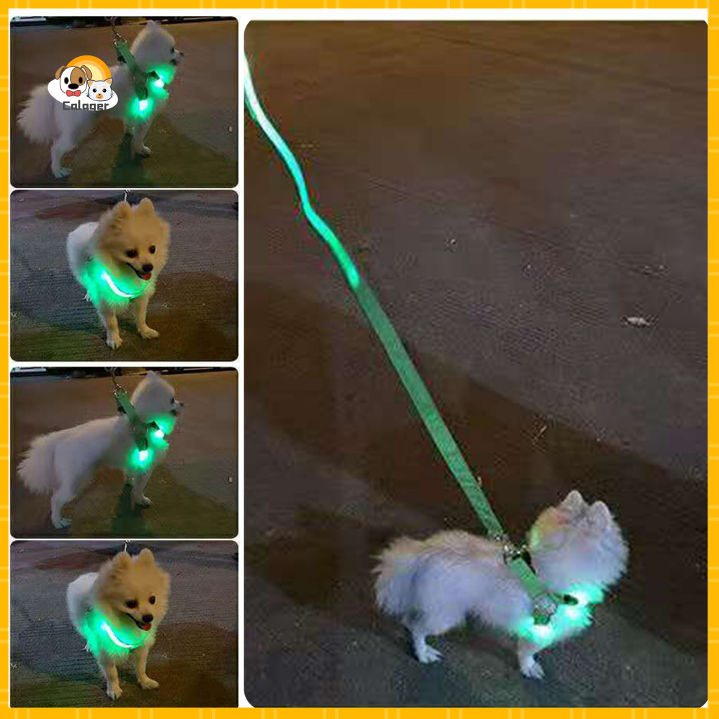Led Pet Harness Illuminated Accessory Rechargeable Dog with 3 Light Modes – Adjustable Glow-in-the-dark Safety Vest fo