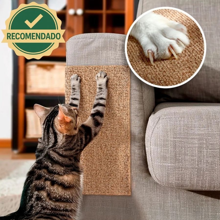 Arranhador Premium Adesivo Gatos Carpete Protetor Sofá Cama Box Móveis Alta Aderência Envio Imediato