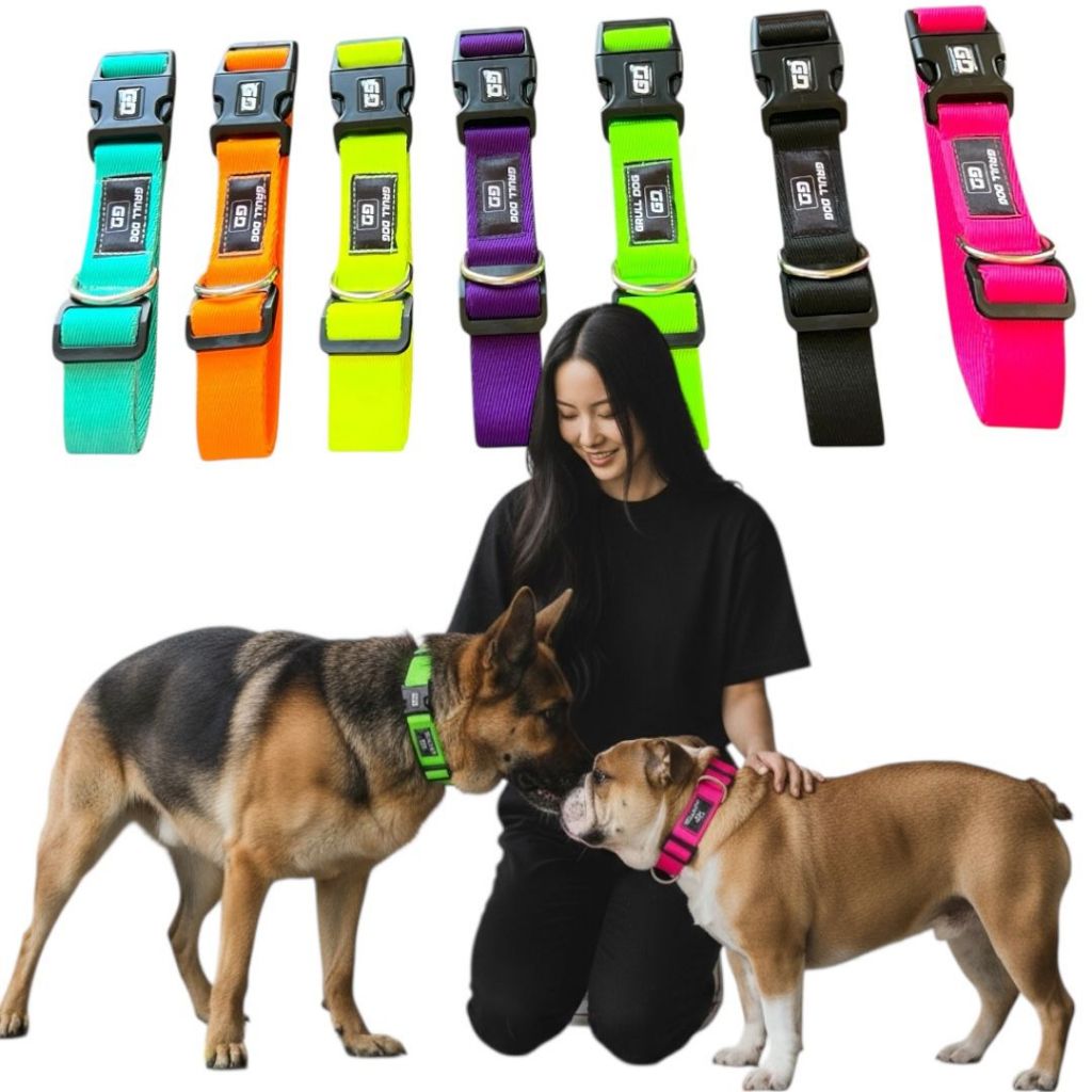 Coleira de pescoço para cachorro premium reforçado cães pequeno ao grande porte adestramento