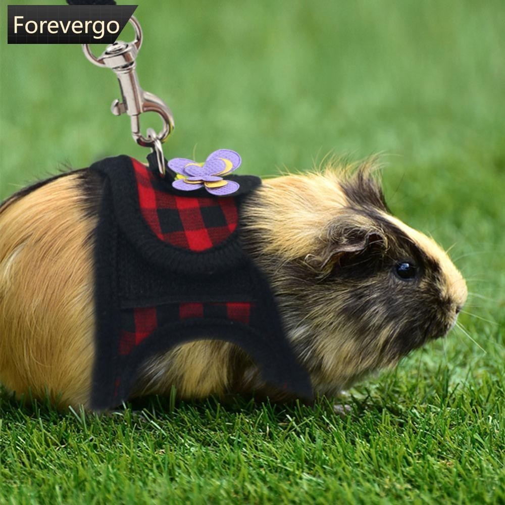 Adjustable Guinea Pig Harness Leash Set Outdoor Traction Rope for Hamster Chinchilla Rato Furão Coelho Acessórios