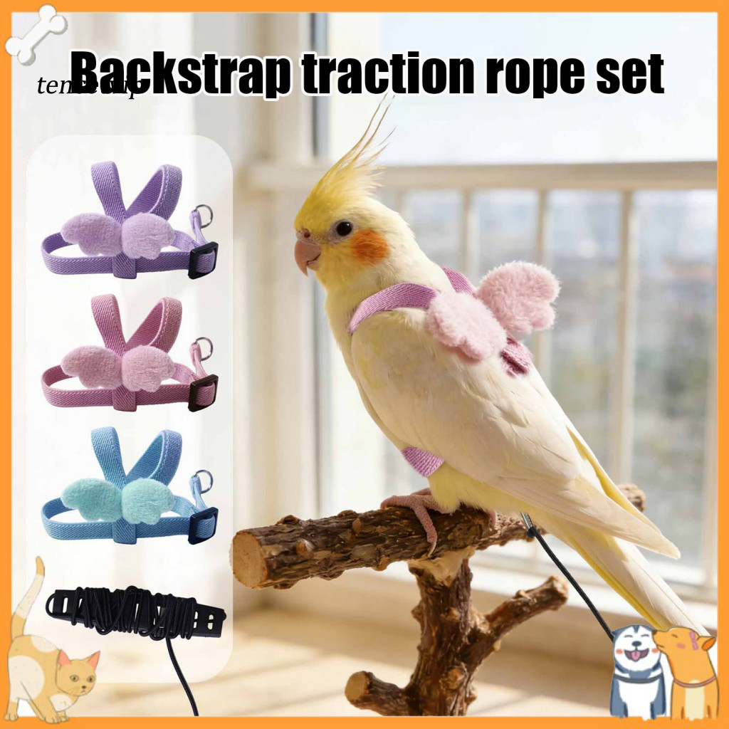 Bird Harness Adjustable Flight with Leash for Parrots Lovebirds Cockatiels – Cute Angel Wings Design Safe Outdoor for