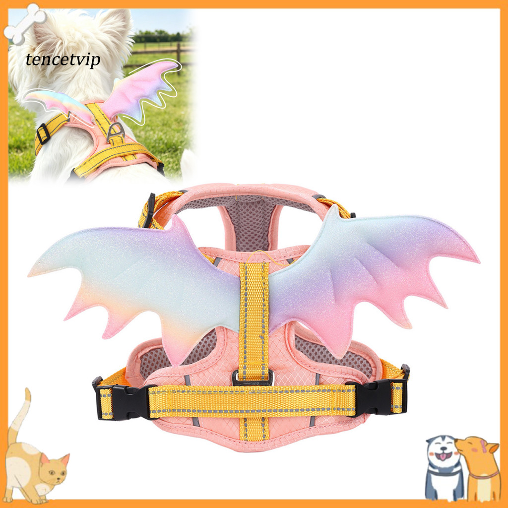 Adjustable Pet Harness Breathable Dog Vest No Pull with 5ft Leash Reflective Handle Cute Colorful Wings Design for Small