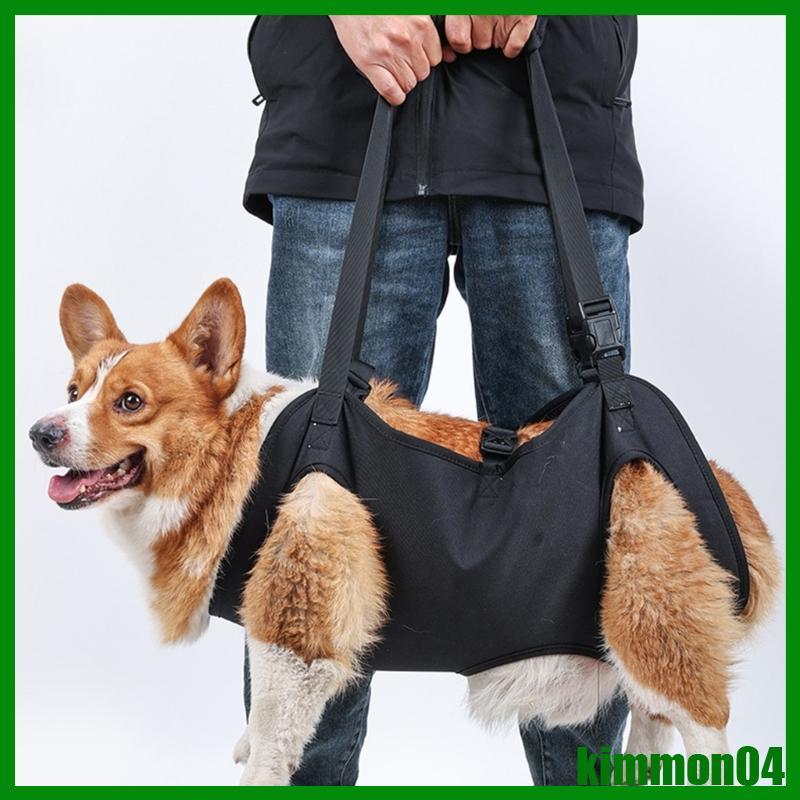 kim Adjustable Dog for Large Dogs Pet Legs Suporte Pernas Cão Estimação Alça Apoio Para Cães Idosos