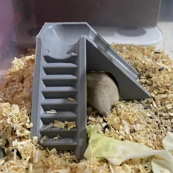 Escorregador e Escada para Hamster e Pequenos Roedores