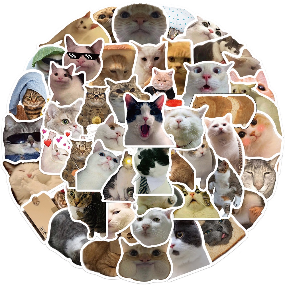 50 adesivos engraçados de memes de gato para laptop, skates e capas de telefone Decal Reforged Glory