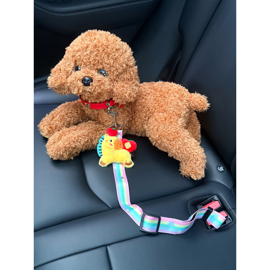 Cinto de segurança para carro, viagem para animais de estimação, cachorro, gato, coleira Universal com fivela de seguran