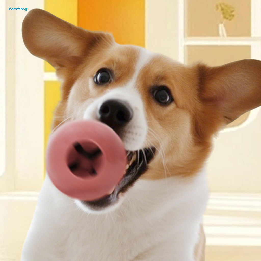 Dog Molar Ball Toy Chew Toys Interactive Silicone Food Dispensing for Dental Health Exercise Fun Washable Durable Pet fo