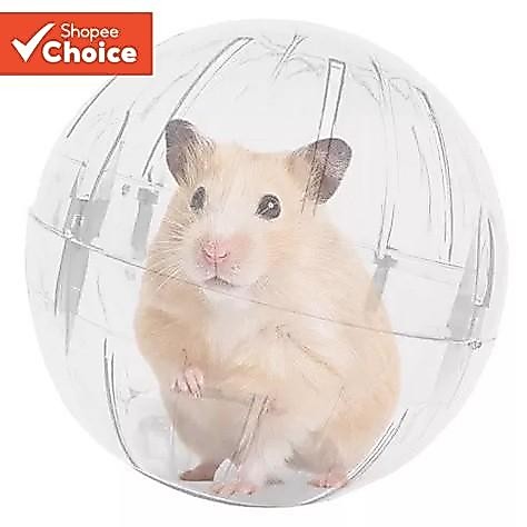 Hamster Cristal Correndo Bola Urso Dourado Esquilo Mel Planador Transparente Take-out Esportes Andando Mouse Artefato