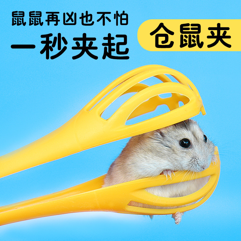 prod_6a9c4f71b226b3.03450702.jpg