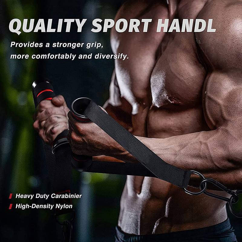 [EL-t] D-Ring Metal Gym Handles Grip Workout Heavy Duty Cable Machine Handle Com Gancho Para Yoga Exercício Power Bands
