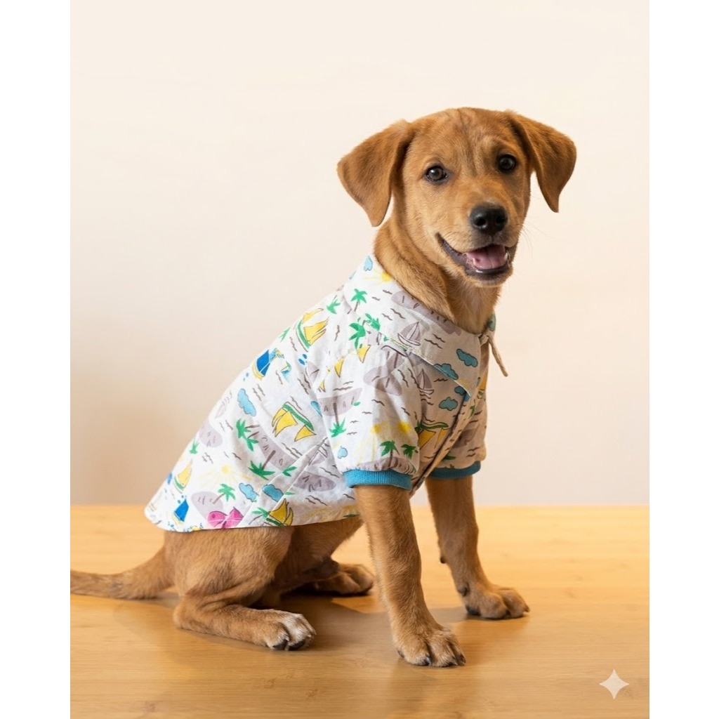 Kit 3 Camisas Pet Verão Atacado - Tamanhos Pequenos 1 e 2 - Revenda Loja de Fábrica