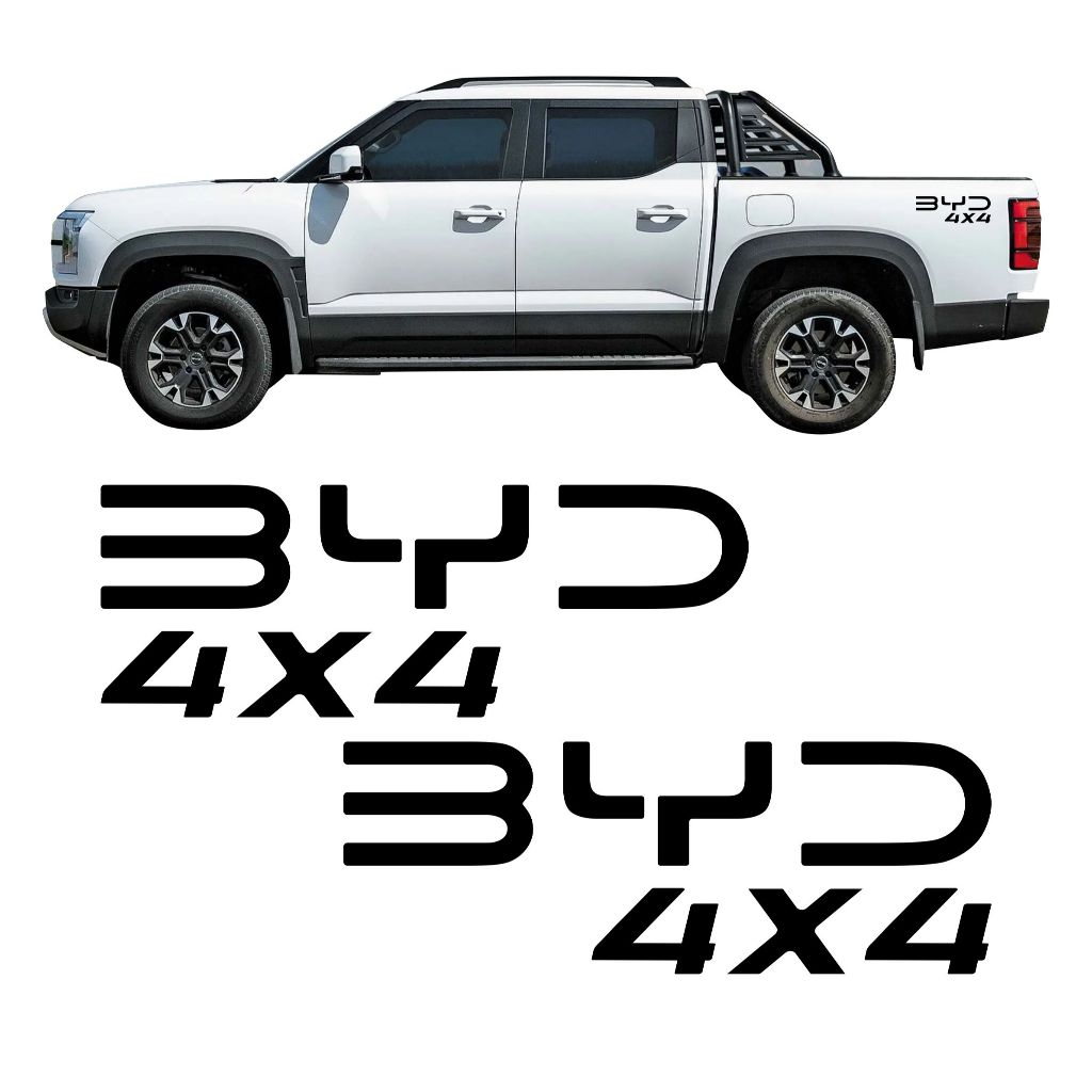 Par Adesivos Emblema Lateral Byd Shark 4x4 Sport Escrita Acessórios Personalizado Bd7