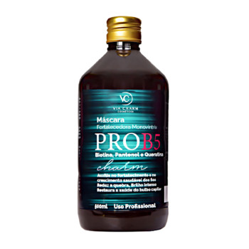 Máscara Pro B5 Monovintrix Via Charm 500ml