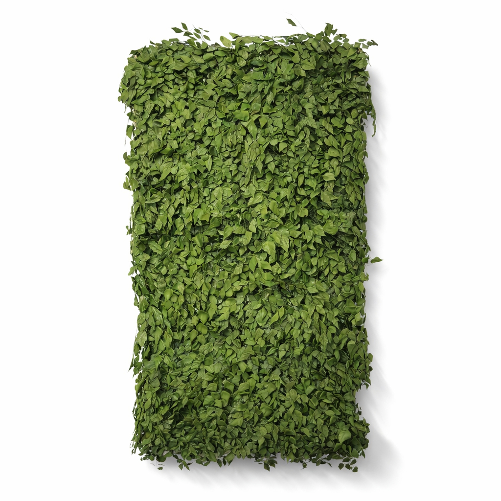 Placa Jardim Vertical Preservado Premium Desidratado 100x50cm Decoração