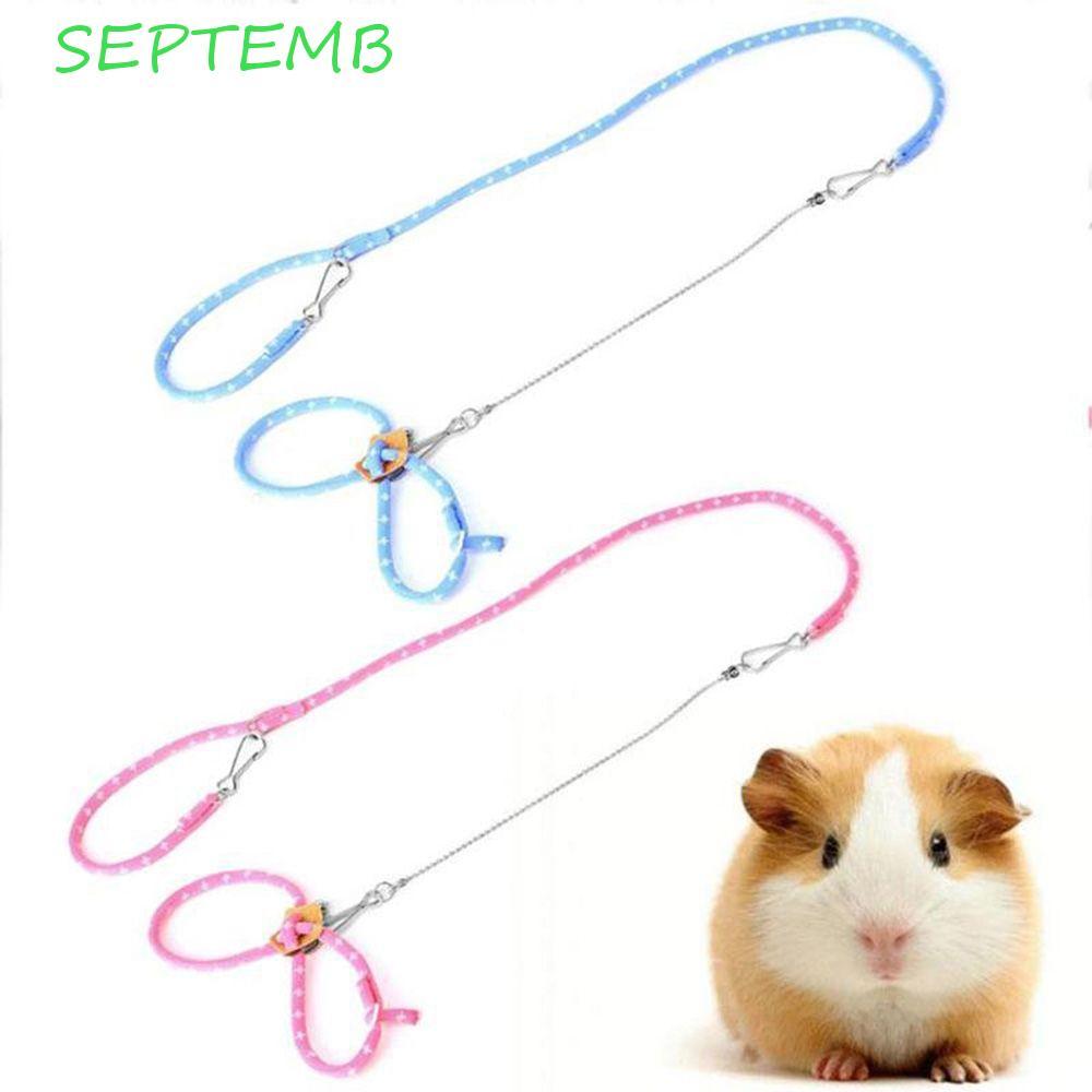 SEPTEMB Caminhada Chumbo Adorável Bonito Para Rato Esquilo Chinchila Furão Gerbil Com Sino Colete