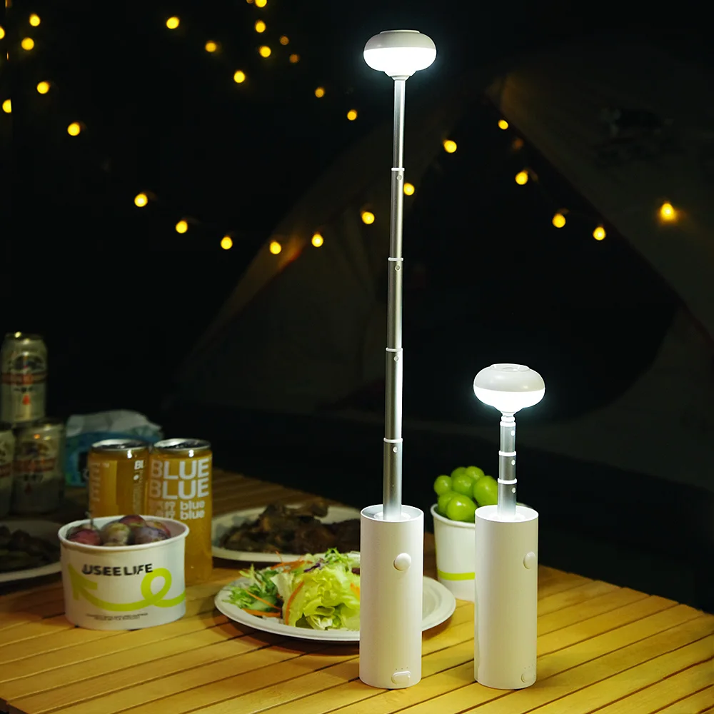 prod_6a9d93ddb86141.74258982.webp