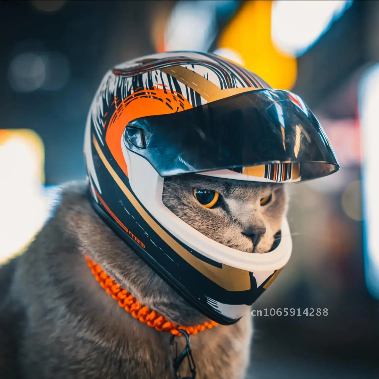 prod_6a9d995546ef50.30581422.webp