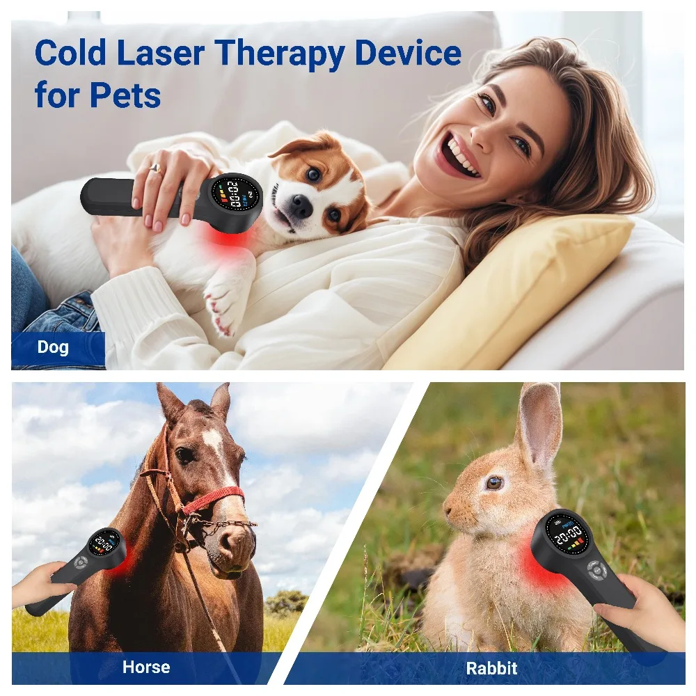 prod_6a9d9c08300a64.52032473.webp