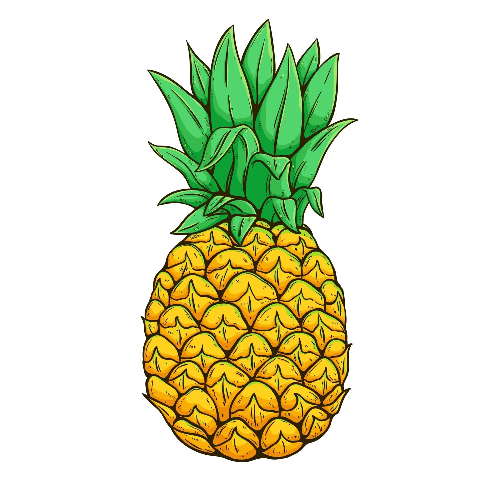 prod_6a9e08c3ab5484.94261023.webp