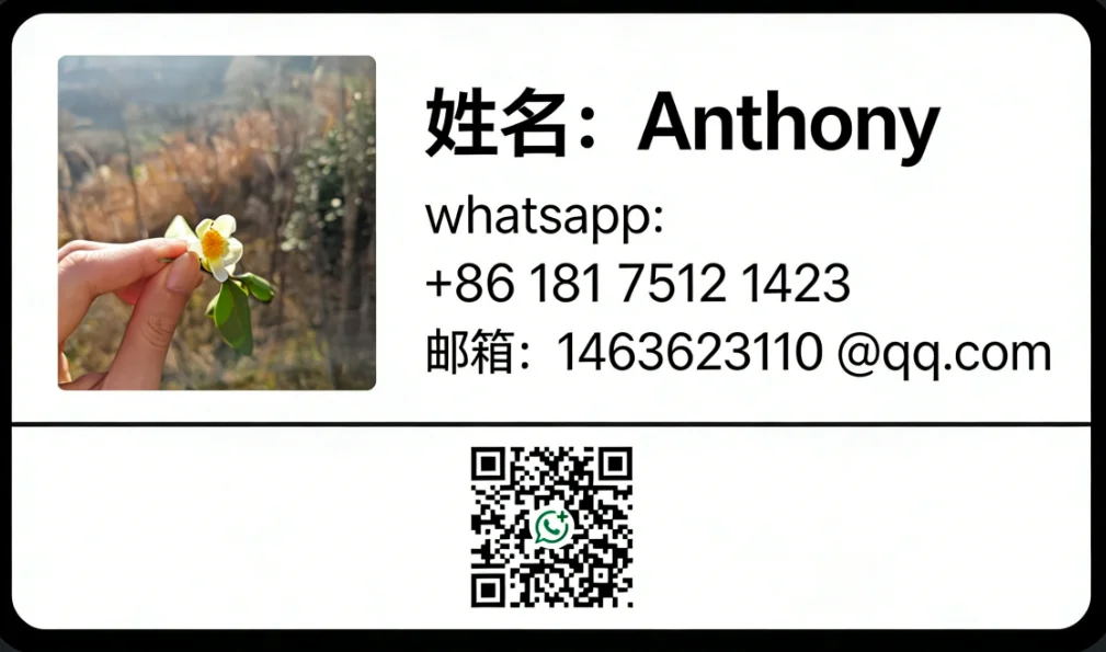 prod_6a9e15f8cde6c3.08386514.webp