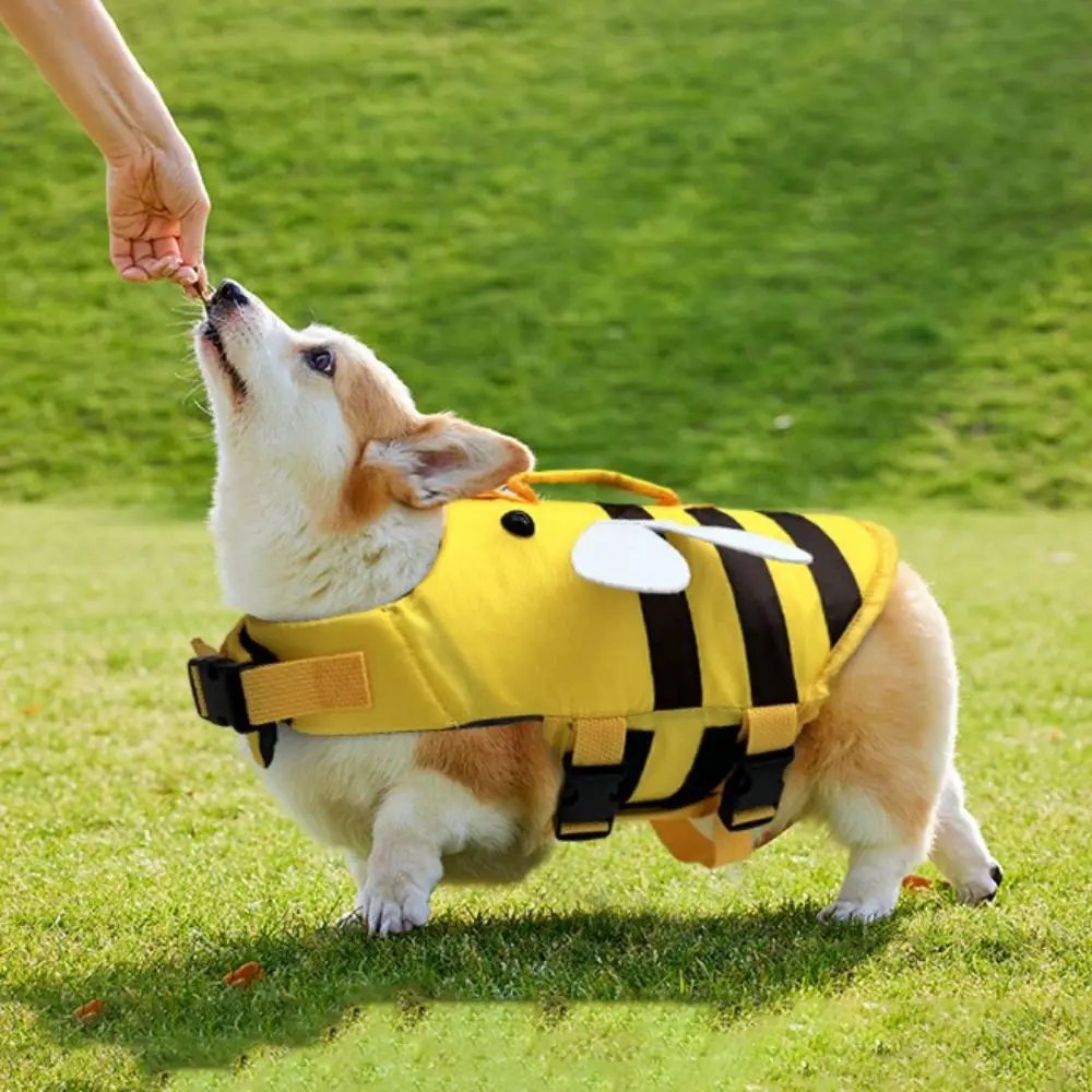 prod_6a9e17ac4a1b58.77749314.webp