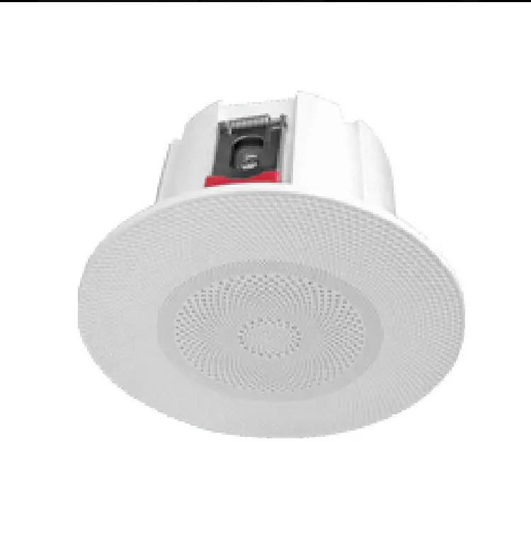 Customizable Indoor Mounted for Speaker Rechargeable  5