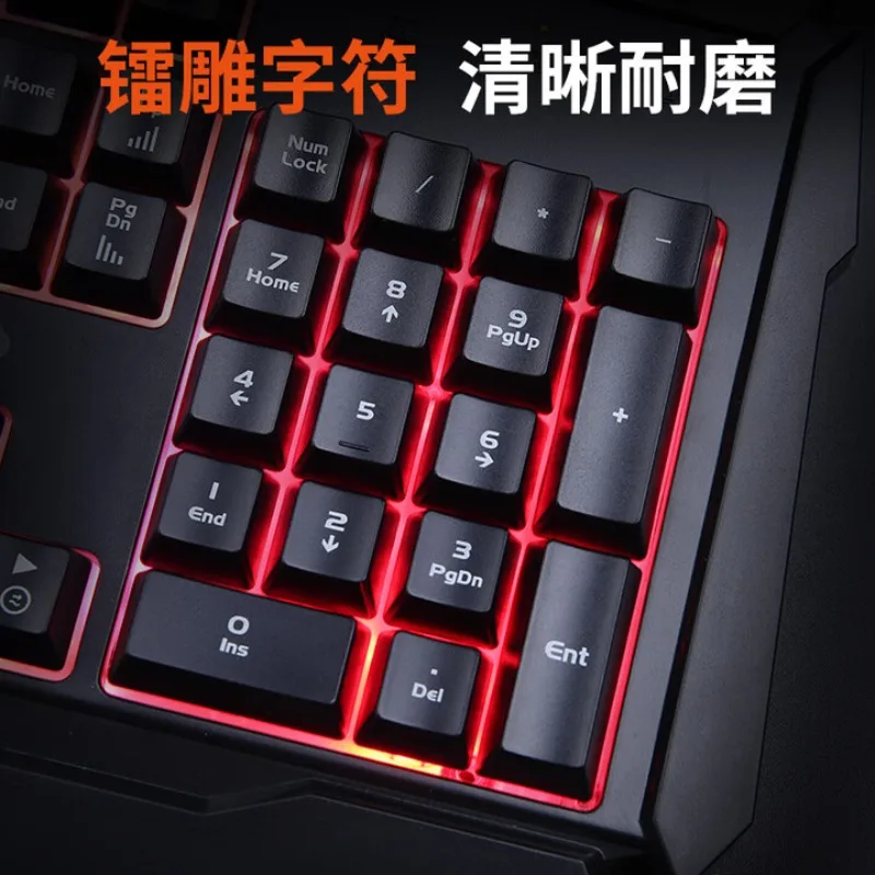 prod_6a9e1f703e2623.21847451.webp