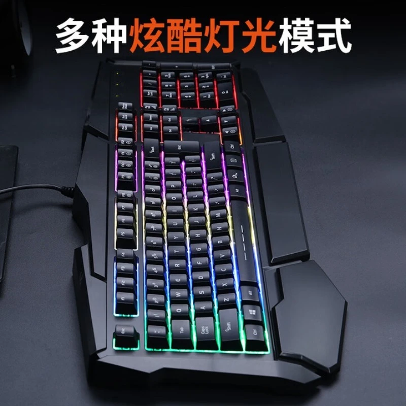 prod_6a9e1f70768fd1.47690377.webp