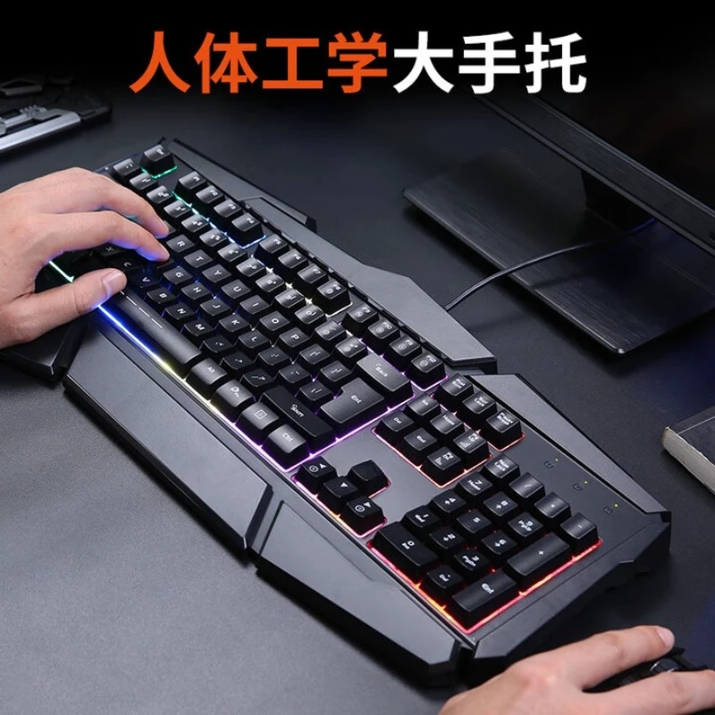 prod_6a9e1f70f11cb9.23802579.webp